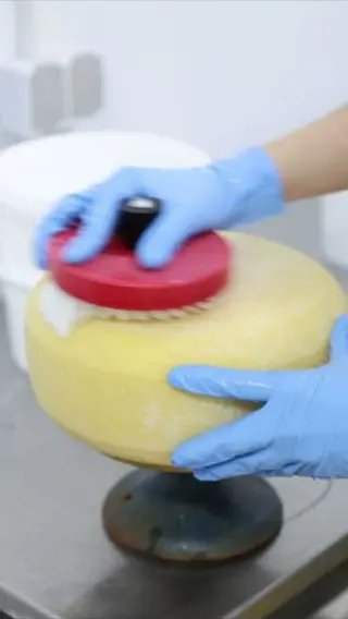 Tiny Danish Farm Makes Cheese TOO Good To Be Legal