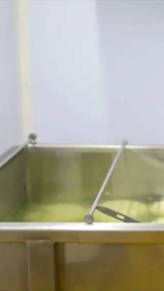 Salty floating for cheese?