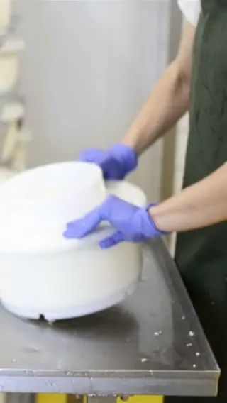Tiny Danish Farm Makes Cheese TOO Good To Be Legal