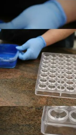 This Filled Chocolate Process Is Dangerously Satisfying