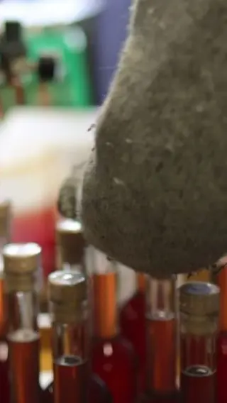 What Is Mjød? Inside Snoremark — Denmark’s Most Award-Winning Meadery